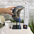 Polished Agate Crescent Moon on a Stand, 9.2 lbs & 11.6" Tall #5740NA-016 by Brazil Gems - Brazil GemsBrazil GemsPolished Agate Crescent Moon on a Stand, 9.2 lbs & 11.6" Tall #5740NA-016 by Brazil GemsCrescent Moons5740NA-016