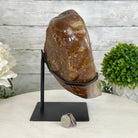Polished Agate Heart Geode on a Metal Stand, 10 lbs & 8.8" Tall, Model #5468-0085 by Brazil Gems - Brazil GemsBrazil GemsPolished Agate Heart Geode on a Metal Stand, 10 lbs & 8.8" Tall, Model #5468-0085 by Brazil GemsHearts5468-0085