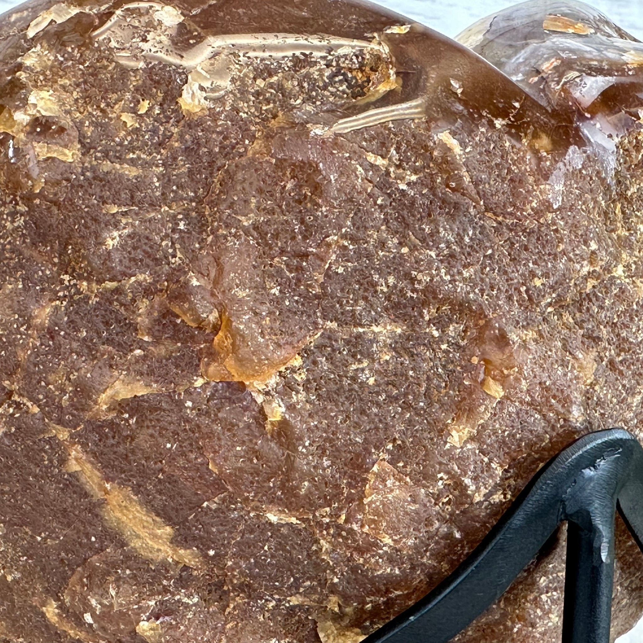 Polished Agate Heart Geode on a Metal Stand, 10 lbs & 8.8" Tall, Model #5468-0085 by Brazil Gems - Brazil GemsBrazil GemsPolished Agate Heart Geode on a Metal Stand, 10 lbs & 8.8" Tall, Model #5468-0085 by Brazil GemsHearts5468-0085