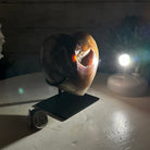 Polished Agate Heart Geode on a Metal Stand, 2.2 lbs & 4.8" Tall, Model #5468-0029 by Brazil Gems - Brazil GemsBrazil GemsPolished Agate Heart Geode on a Metal Stand, 2.2 lbs & 4.8" Tall, Model #5468-0029 by Brazil GemsHearts5468-0029