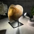 Polished Agate Heart Geode on a Metal Stand, 3.1 lbs & 5.7" Tall, Model #5468-0051 by Brazil Gems - Brazil GemsBrazil GemsPolished Agate Heart Geode on a Metal Stand, 3.1 lbs & 5.7" Tall, Model #5468-0051 by Brazil GemsHearts5468-0051