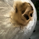 Polished Agate Heart Geode on a Metal Stand, 3.3 lbs & 5" Tall, Model #5468-0042 by Brazil Gems - Brazil GemsBrazil GemsPolished Agate Heart Geode on a Metal Stand, 3.3 lbs & 5" Tall, Model #5468-0042 by Brazil GemsHearts5468-0042