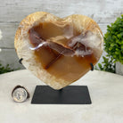 Polished Agate Heart Geode on a Metal Stand, 3.6 lbs & 6" Tall, Model #5468-0061 by Brazil Gems - Brazil GemsBrazil GemsPolished Agate Heart Geode on a Metal Stand, 3.6 lbs & 6" Tall, Model #5468-0061 by Brazil GemsHearts5468-0061