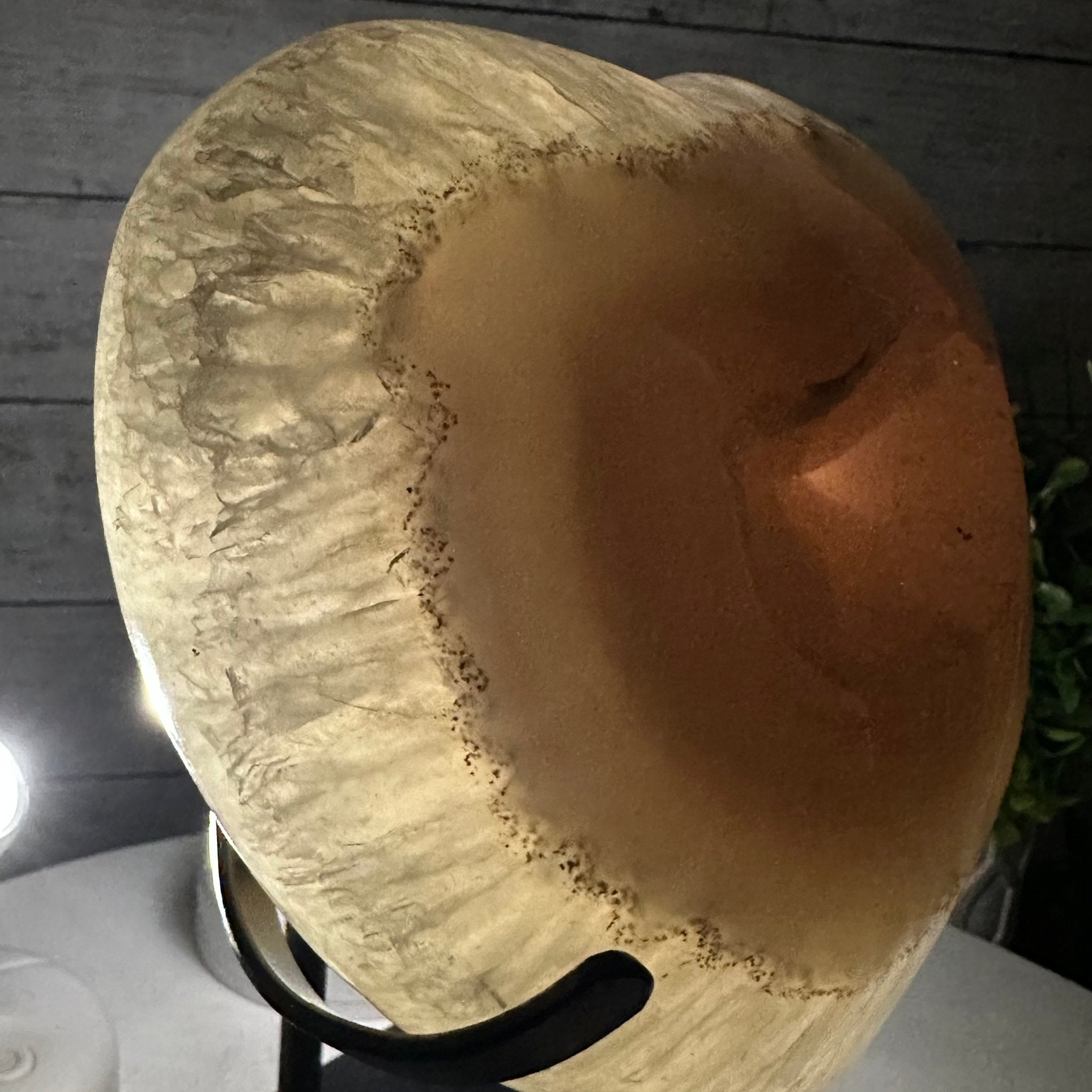 Polished Agate Heart Geode on a Metal Stand, 8.2 lbs & 8.25" Tall, Model #5468-0079 by Brazil Gems - Brazil GemsBrazil GemsPolished Agate Heart Geode on a Metal Stand, 8.2 lbs & 8.25" Tall, Model #5468-0079 by Brazil GemsHearts5468-0079