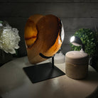 Polished Agate Heart Geode on a Metal Stand, 8.4 lbs & 8.2" Tall, Model #5468-0080 by Brazil Gems - Brazil GemsBrazil GemsPolished Agate Heart Geode on a Metal Stand, 8.4 lbs & 8.2" Tall, Model #5468-0080 by Brazil GemsHearts5468-0080
