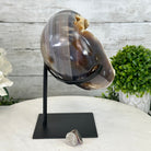 Polished Agate Heart Geode on a Metal Stand, 9.3 lbs & 9" Tall, Model #5468-0086 by Brazil Gems - Brazil GemsBrazil GemsPolished Agate Heart Geode on a Metal Stand, 9.3 lbs & 9" Tall, Model #5468-0086 by Brazil GemsHearts5468-0086