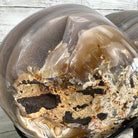 Polished Agate Heart Geode on a Metal Stand, 9.3 lbs & 9" Tall, Model #5468-0086 by Brazil Gems - Brazil GemsBrazil GemsPolished Agate Heart Geode on a Metal Stand, 9.3 lbs & 9" Tall, Model #5468-0086 by Brazil GemsHearts5468-0086