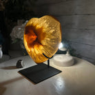 Polished Agate Heart-Shaped Geode on a Metal Stand, 4.7 lbs & 6.8" Tall, Model #5468-0013 by Brazil Gems - Brazil GemsBrazil GemsPolished Agate Heart-Shaped Geode on a Metal Stand, 4.7 lbs & 6.8" Tall, Model #5468-0013 by Brazil GemsHearts5468-0013