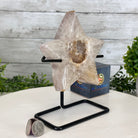 Polished Agate Star on a Metal Stand, 2.1 lbs & 7.4" Tall #5273-0009 - Brazil GemsBrazil GemsPolished Agate Star on a Metal Stand, 2.1 lbs & 7.4" Tall #5273-0009Stars5273-0009