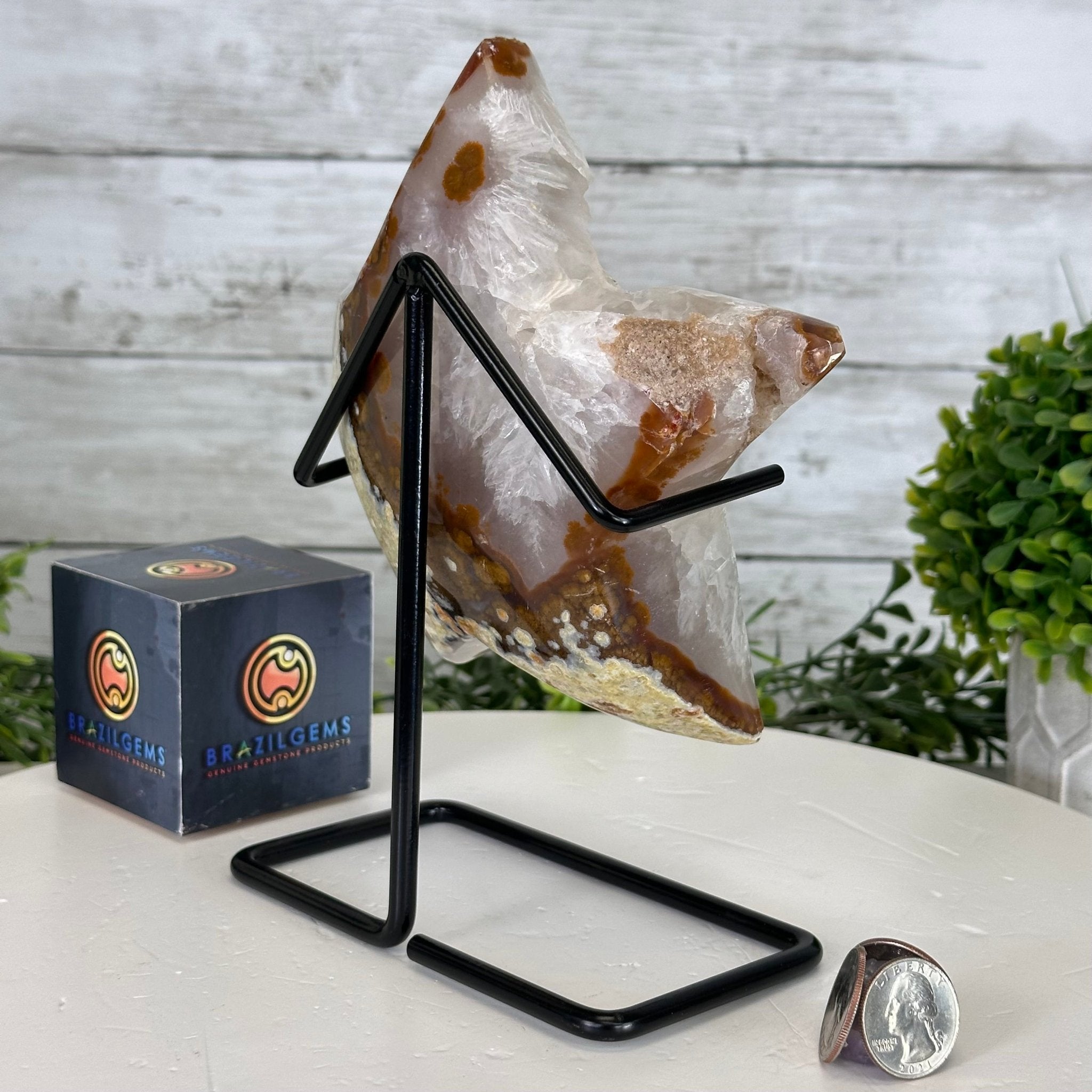 Polished Agate Star on a Metal Stand, 2.7 lbs & 8.2" Tall #5273-0014 - Brazil GemsBrazil GemsPolished Agate Star on a Metal Stand, 2.7 lbs & 8.2" Tall #5273-0014Stars5273-0014
