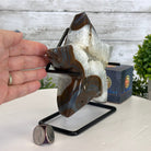 Polished Agate Star on a Metal Stand, 3.2 lbs & 6.8" Tall #5273-0017 - Brazil GemsBrazil GemsPolished Agate Star on a Metal Stand, 3.2 lbs & 6.8" Tall #5273-0017Stars5273-0017