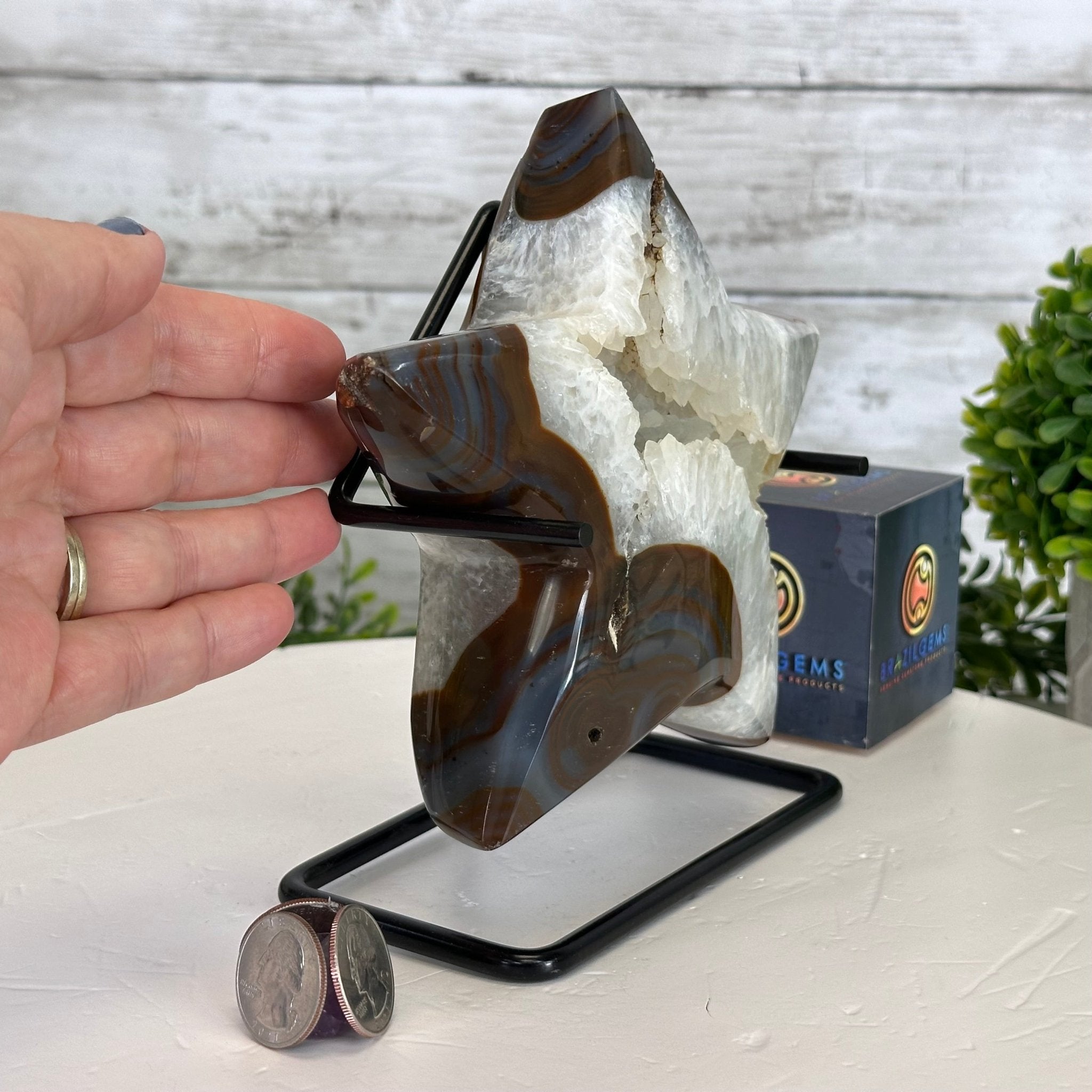 Polished Agate Star on a Metal Stand, 3.2 lbs & 6.8" Tall #5273-0017 - Brazil GemsBrazil GemsPolished Agate Star on a Metal Stand, 3.2 lbs & 6.8" Tall #5273-0017Stars5273-0017