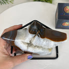Polished Agate Star on a Metal Stand, 3.2 lbs & 6.8" Tall #5273-0017 - Brazil GemsBrazil GemsPolished Agate Star on a Metal Stand, 3.2 lbs & 6.8" Tall #5273-0017Stars5273-0017