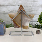 Polished Agate Star on a Metal Stand, 3.3 lbs & 6.9" Tall #5273-0018 - Brazil GemsBrazil GemsPolished Agate Star on a Metal Stand, 3.3 lbs & 6.9" Tall #5273-0018Stars5273-0018