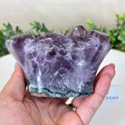 Polished Amethyst Flower 1.40 lbs & 3.1" Tall 5609 - 0034 - Brazil GemsBrazil GemsPolished Amethyst Flower 1.40 lbs & 3.1" Tall 5609 - 0034Crystal Flowers5609 - 0034