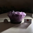 Polished Amethyst Flower 1.40 lbs & 3.1" Tall 5609 - 0034 - Brazil GemsBrazil GemsPolished Amethyst Flower 1.40 lbs & 3.1" Tall 5609 - 0034Crystal Flowers5609 - 0034