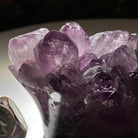 Polished Amethyst Flower 1.40 lbs & 3.1" Tall 5609 - 0034 - Brazil GemsBrazil GemsPolished Amethyst Flower 1.40 lbs & 3.1" Tall 5609 - 0034Crystal Flowers5609 - 0034