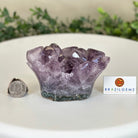 Polished Amethyst Flower 1.40 lbs & 3.1" Tall 5609 - 0034 - Brazil GemsBrazil GemsPolished Amethyst Flower 1.40 lbs & 3.1" Tall 5609 - 0034Crystal Flowers5609 - 0034