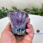 Polished Amethyst Flower 1.40 lbs & 3.1" Tall 5609 - 0034 - Brazil GemsBrazil GemsPolished Amethyst Flower 1.40 lbs & 3.1" Tall 5609 - 0034Crystal Flowers5609 - 0034