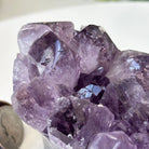 Polished Amethyst Flower 1.40 lbs & 3.1" Tall 5609 - 0034 - Brazil GemsBrazil GemsPolished Amethyst Flower 1.40 lbs & 3.1" Tall 5609 - 0034Crystal Flowers5609 - 0034