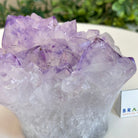 Polished Amethyst Flower 2.11 lbs & 3.4" Tall 5609 - 0038 - Brazil GemsBrazil GemsPolished Amethyst Flower 2.11 lbs & 3.4" Tall 5609 - 0038Crystal Flowers5609 - 0038