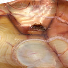 Polished Brazilian Carnelian Crystal Bowl w/ Tumbled Gemstones, 3.2 lbs Model #3350CA-005 by Brazil Gems - Brazil GemsBrazil GemsPolished Brazilian Carnelian Crystal Bowl w/ Tumbled Gemstones, 3.2 lbs Model #3350CA-005 by Brazil GemsBowls3350CA-005