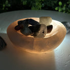Polished Brazilian Rose Quartz Crystal Bowl w/ Tumbled Gemstones, 1.7 lbs Model #3350RQ-003 by Brazil Gems - Brazil GemsBrazil GemsPolished Brazilian Rose Quartz Crystal Bowl w/ Tumbled Gemstones, 1.7 lbs Model #3350RQ-003 by Brazil GemsBowls3350RQ-003