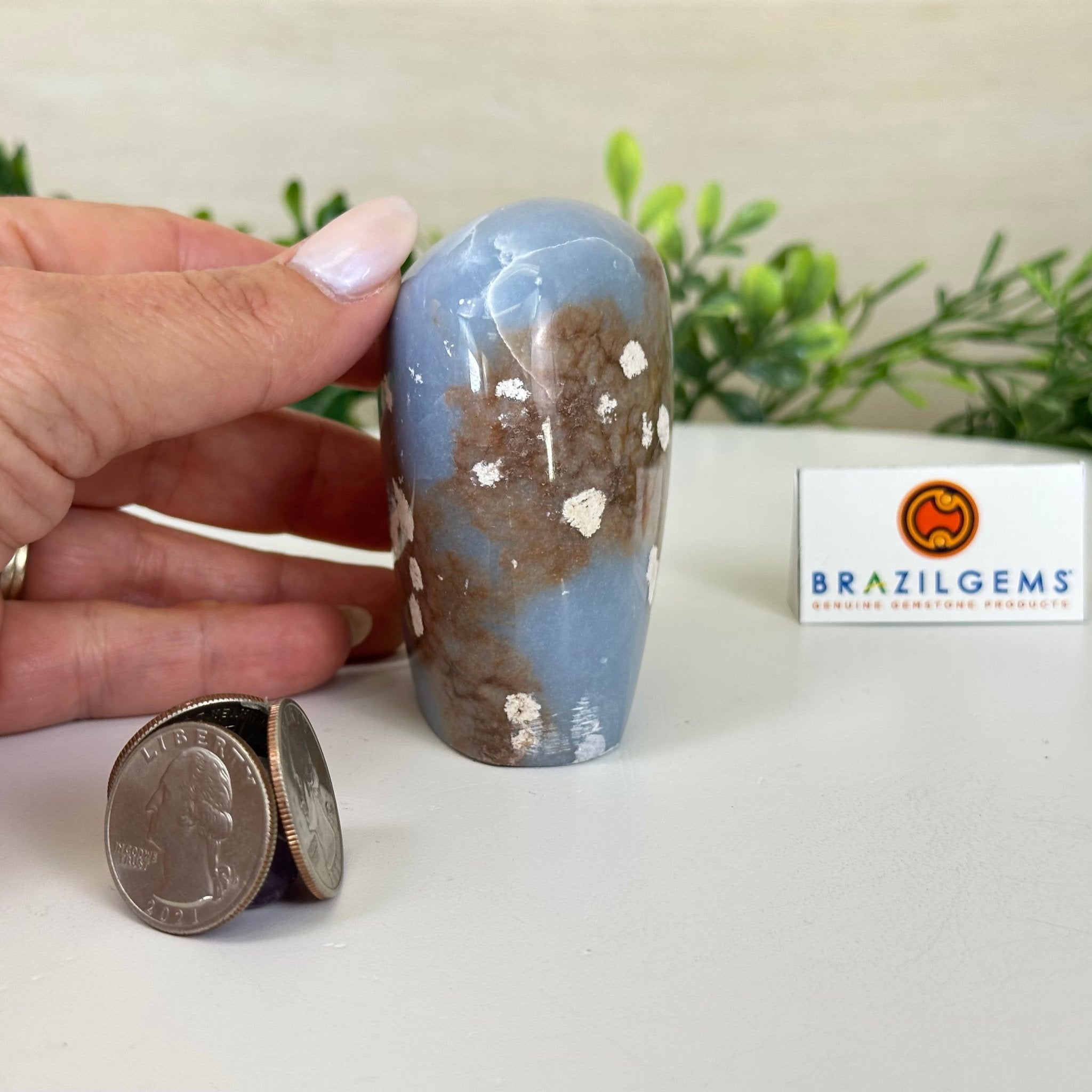 Polished Freeform Angelite Gemstone, 0.8 lbs & 3” Tall #3301AL - 002 - Brazil GemsBrazil GemsPolished Freeform Angelite Gemstone, 0.8 lbs & 3” Tall #3301AL - 002Freeform & Unique Shapes3301AL - 002