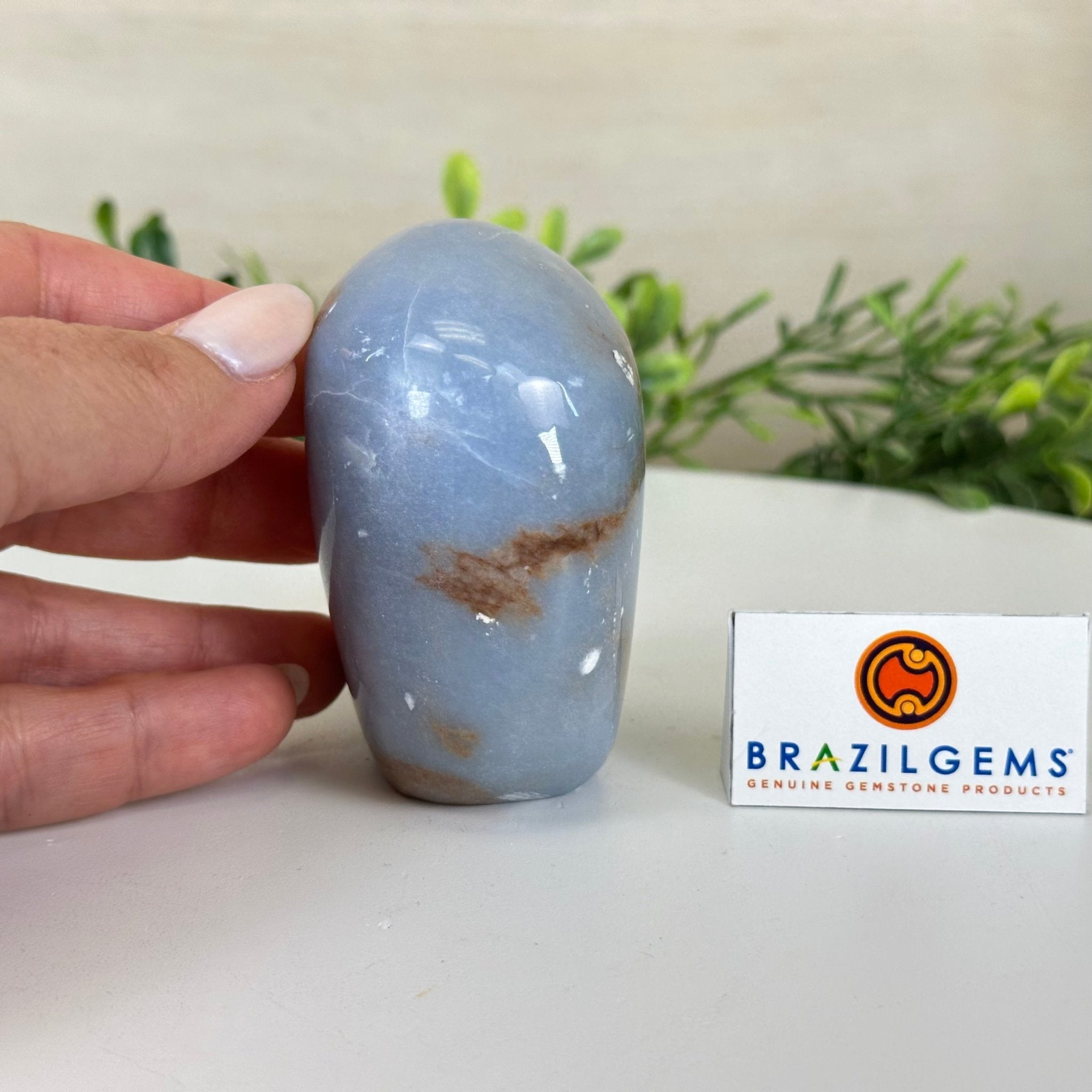 Polished Freeform Angelite Gemstone, 0.8 lbs & 3” Tall #3301AL - 002 - Brazil GemsBrazil GemsPolished Freeform Angelite Gemstone, 0.8 lbs & 3” Tall #3301AL - 002Freeform & Unique Shapes3301AL - 002