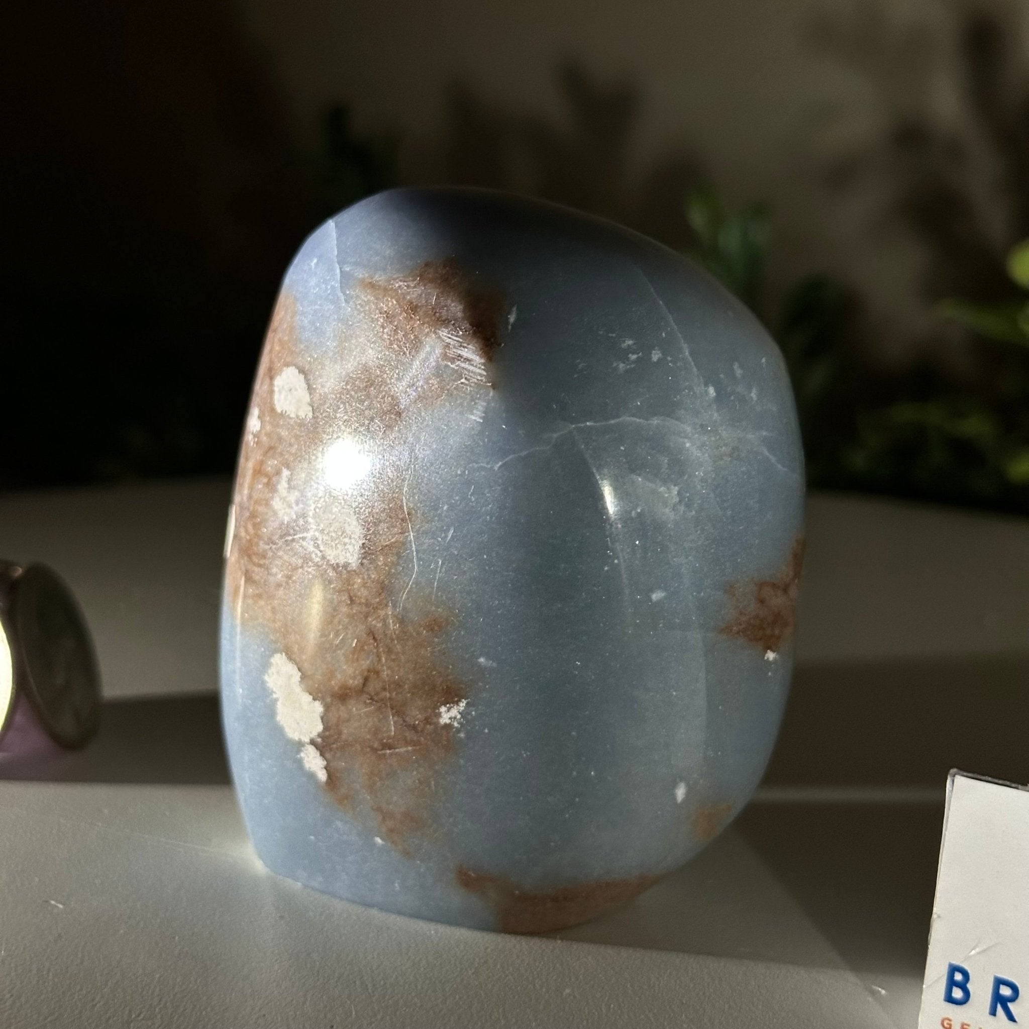 Polished Freeform Angelite Gemstone, 0.8 lbs & 3” Tall #3301AL - 002 - Brazil GemsBrazil GemsPolished Freeform Angelite Gemstone, 0.8 lbs & 3” Tall #3301AL - 002Freeform & Unique Shapes3301AL - 002