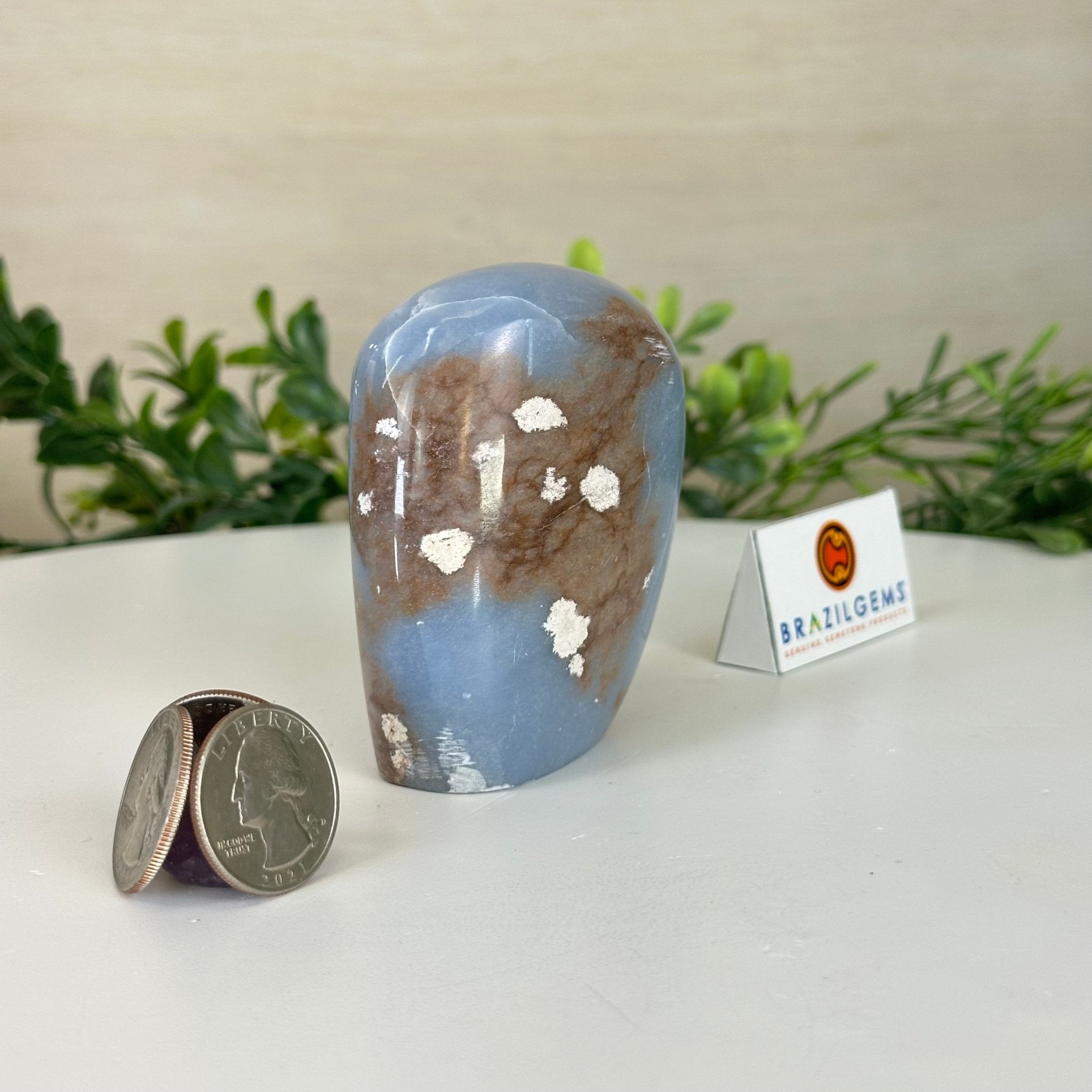 Polished Freeform Angelite Gemstone, 0.8 lbs & 3” Tall #3301AL - 002 - Brazil GemsBrazil GemsPolished Freeform Angelite Gemstone, 0.8 lbs & 3” Tall #3301AL - 002Freeform & Unique Shapes3301AL - 002