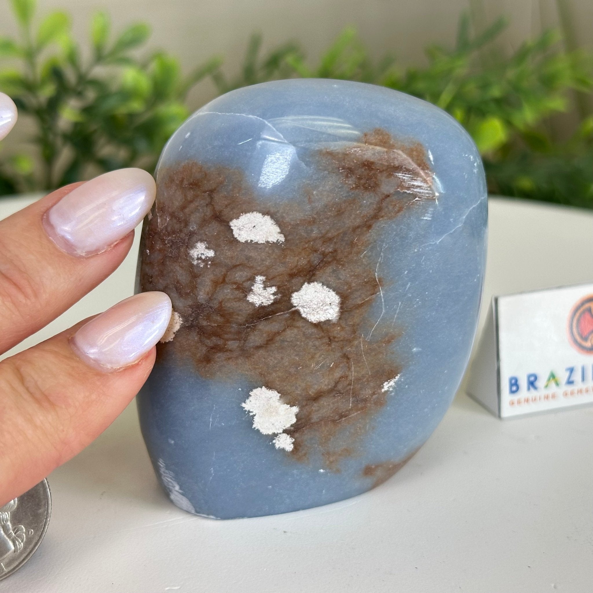 Polished Freeform Angelite Gemstone, 0.8 lbs & 3” Tall #3301AL - 002 - Brazil GemsBrazil GemsPolished Freeform Angelite Gemstone, 0.8 lbs & 3” Tall #3301AL - 002Freeform & Unique Shapes3301AL - 002