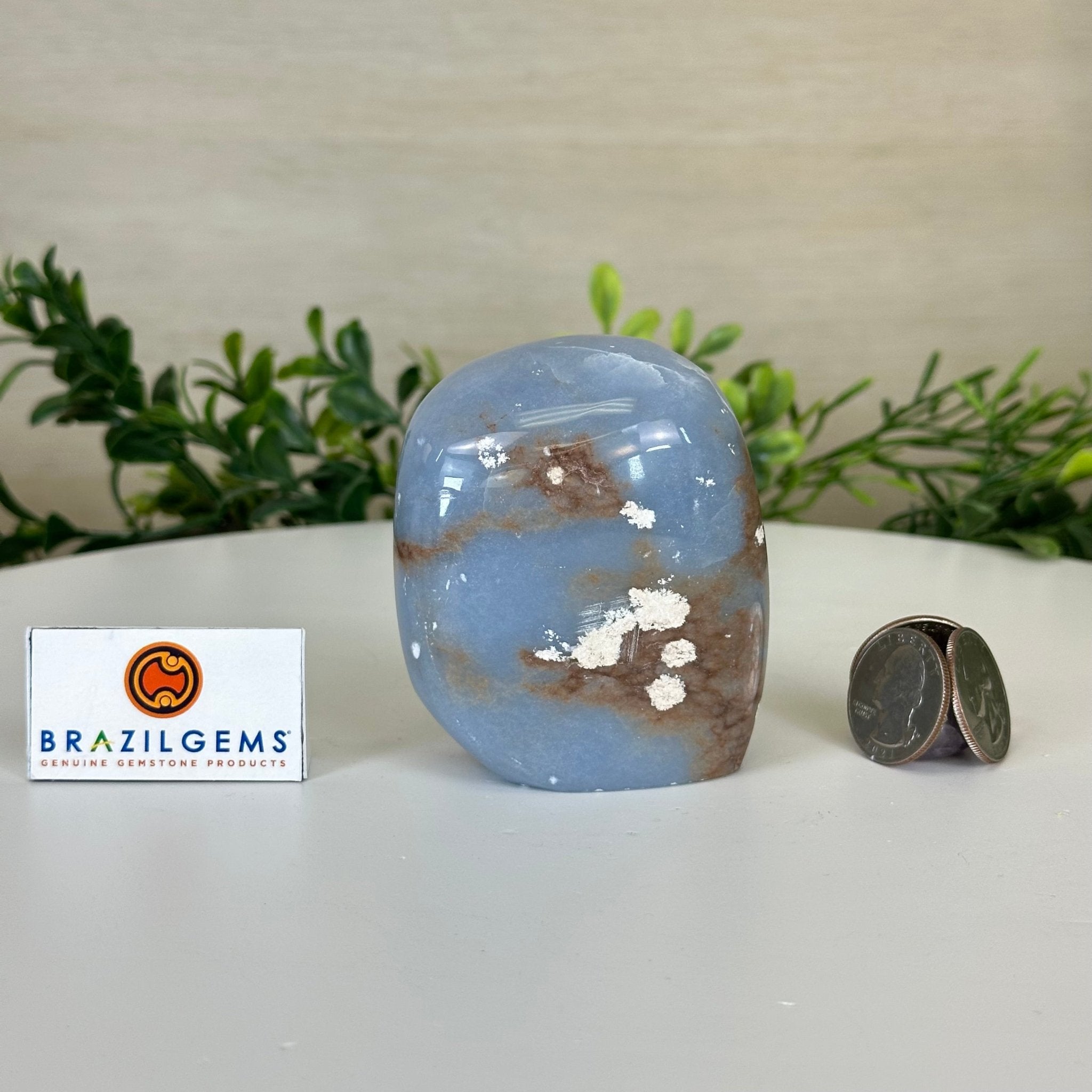 Polished Freeform Angelite Gemstone, 0.8 lbs & 3” Tall #3301AL - 002 - Brazil GemsBrazil GemsPolished Freeform Angelite Gemstone, 0.8 lbs & 3” Tall #3301AL - 002Freeform & Unique Shapes3301AL - 002