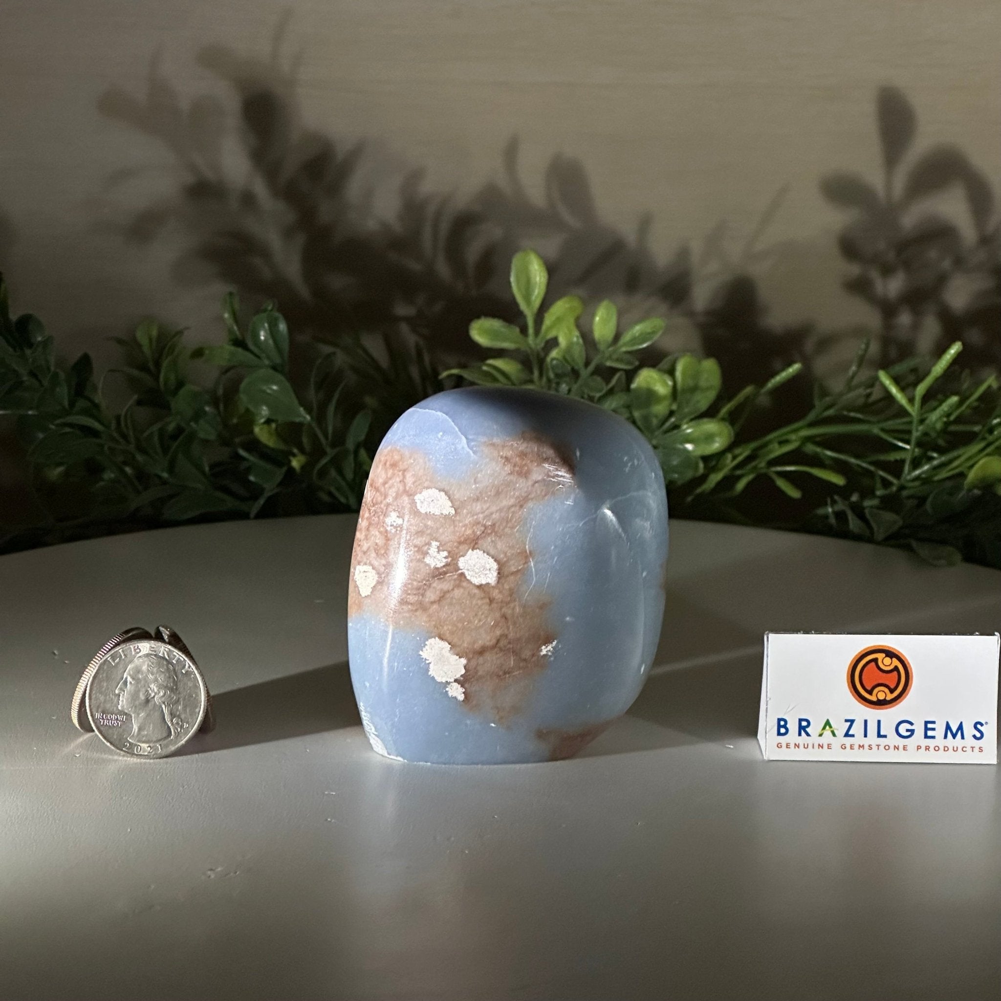 Polished Freeform Angelite Gemstone, 0.8 lbs & 3” Tall #3301AL - 002 - Brazil GemsBrazil GemsPolished Freeform Angelite Gemstone, 0.8 lbs & 3” Tall #3301AL - 002Freeform & Unique Shapes3301AL - 002