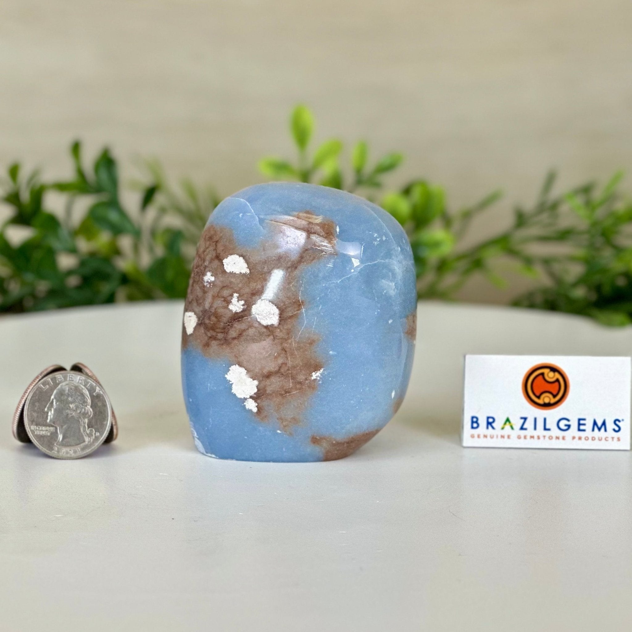 Polished Freeform Angelite Gemstone, 0.8 lbs & 3” Tall #3301AL - 002 - Brazil GemsBrazil GemsPolished Freeform Angelite Gemstone, 0.8 lbs & 3” Tall #3301AL - 002Freeform & Unique Shapes3301AL - 002