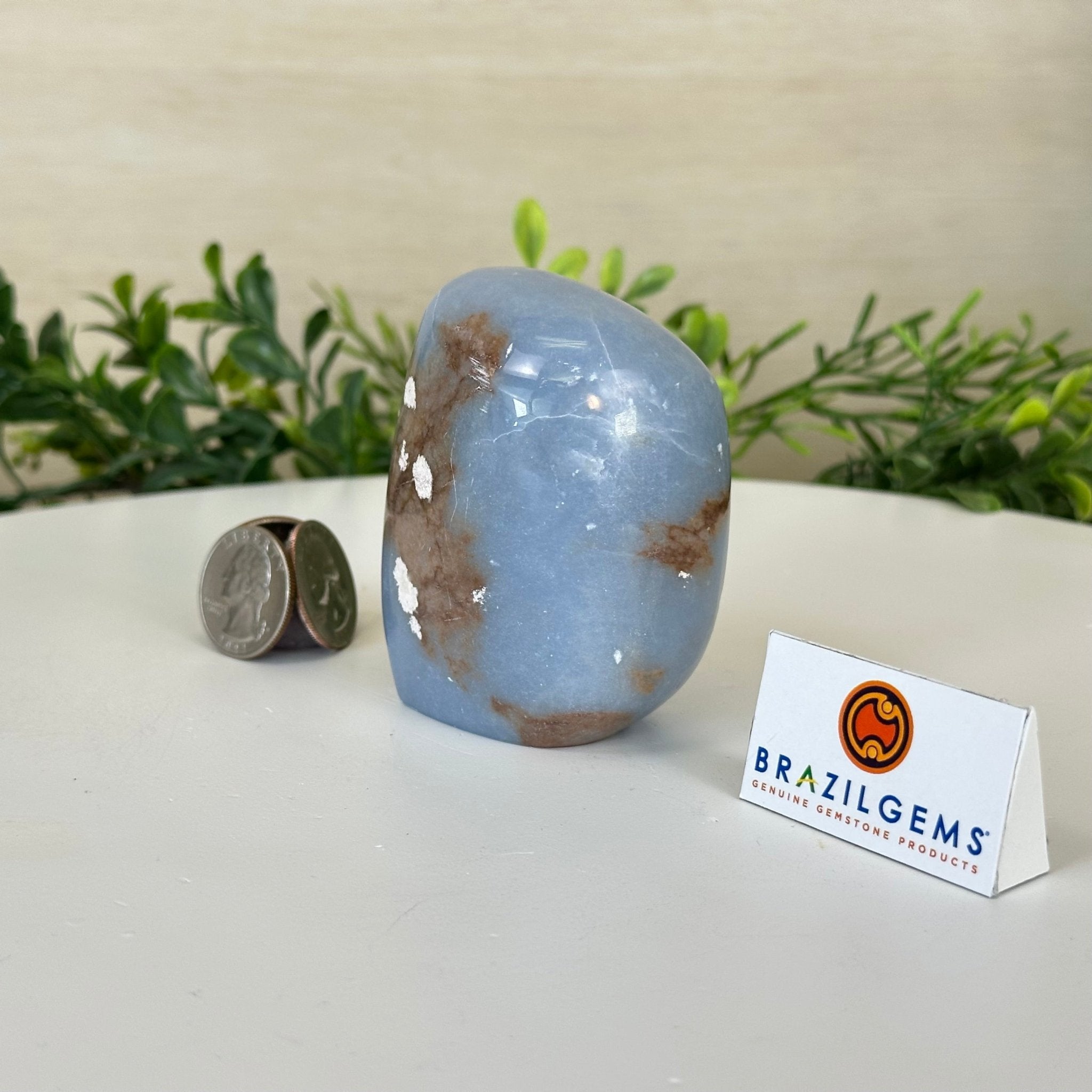 Polished Freeform Angelite Gemstone, 0.8 lbs & 3” Tall #3301AL - 002 - Brazil GemsBrazil GemsPolished Freeform Angelite Gemstone, 0.8 lbs & 3” Tall #3301AL - 002Freeform & Unique Shapes3301AL - 002