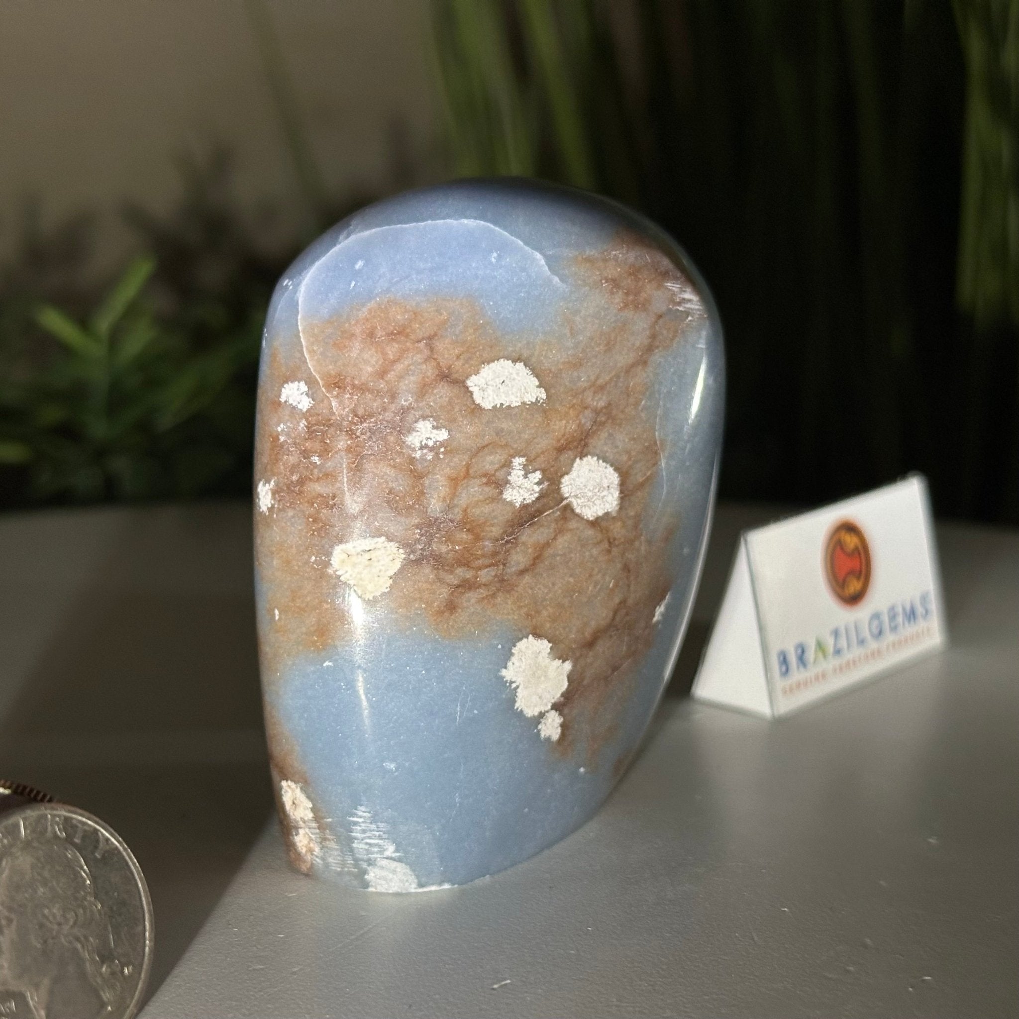 Polished Freeform Angelite Gemstone, 0.8 lbs & 3” Tall #3301AL - 002 - Brazil GemsBrazil GemsPolished Freeform Angelite Gemstone, 0.8 lbs & 3” Tall #3301AL - 002Freeform & Unique Shapes3301AL - 002