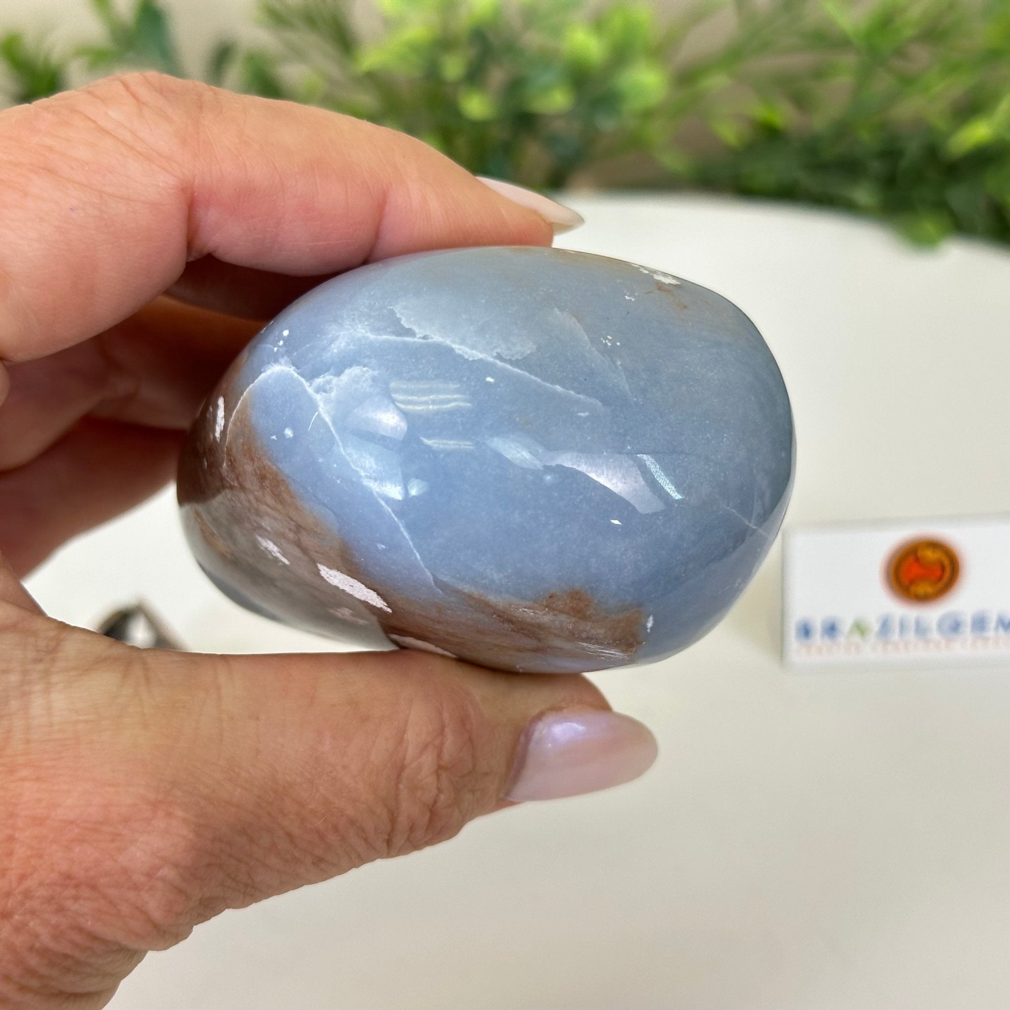 Polished Freeform Angelite Gemstone, 0.8 lbs & 3” Tall #3301AL - 002 - Brazil GemsBrazil GemsPolished Freeform Angelite Gemstone, 0.8 lbs & 3” Tall #3301AL - 002Freeform & Unique Shapes3301AL - 002