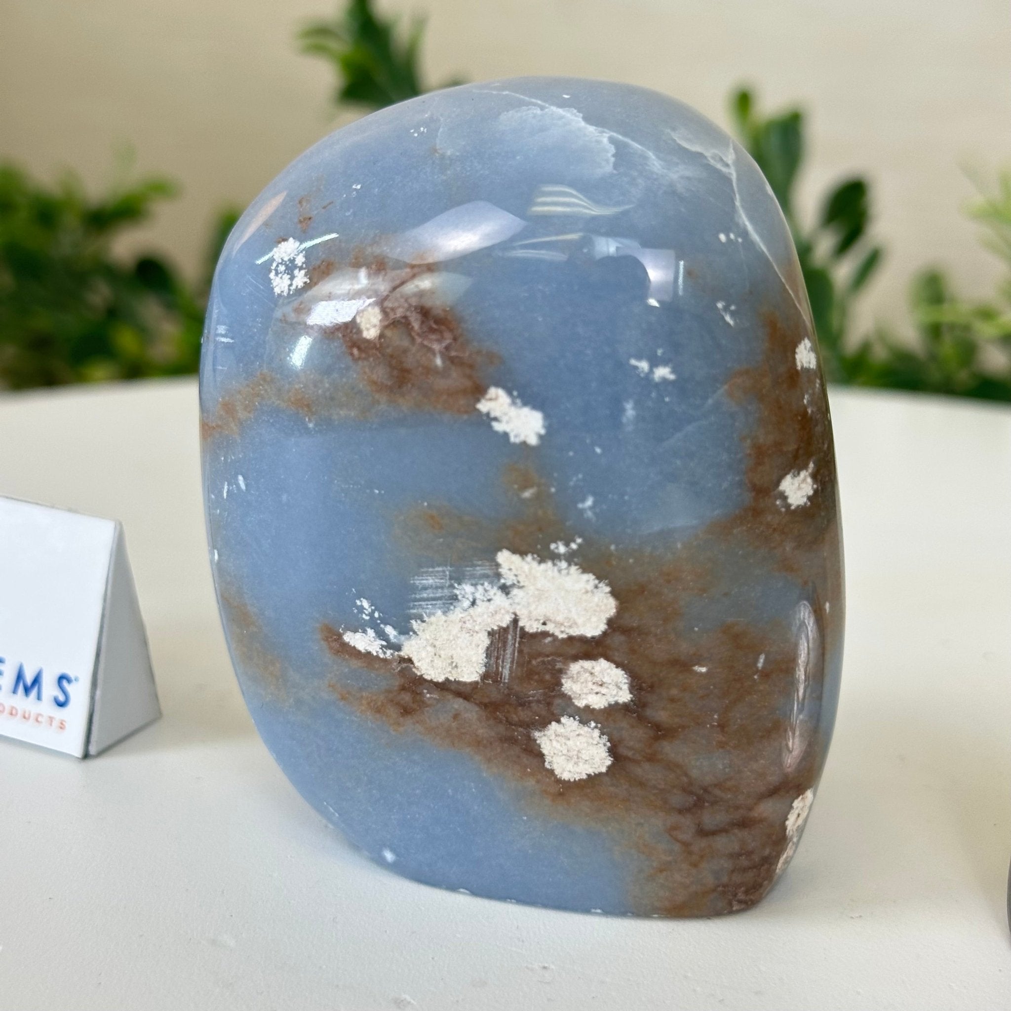 Polished Freeform Angelite Gemstone, 0.8 lbs & 3” Tall #3301AL - 002 - Brazil GemsBrazil GemsPolished Freeform Angelite Gemstone, 0.8 lbs & 3” Tall #3301AL - 002Freeform & Unique Shapes3301AL - 002