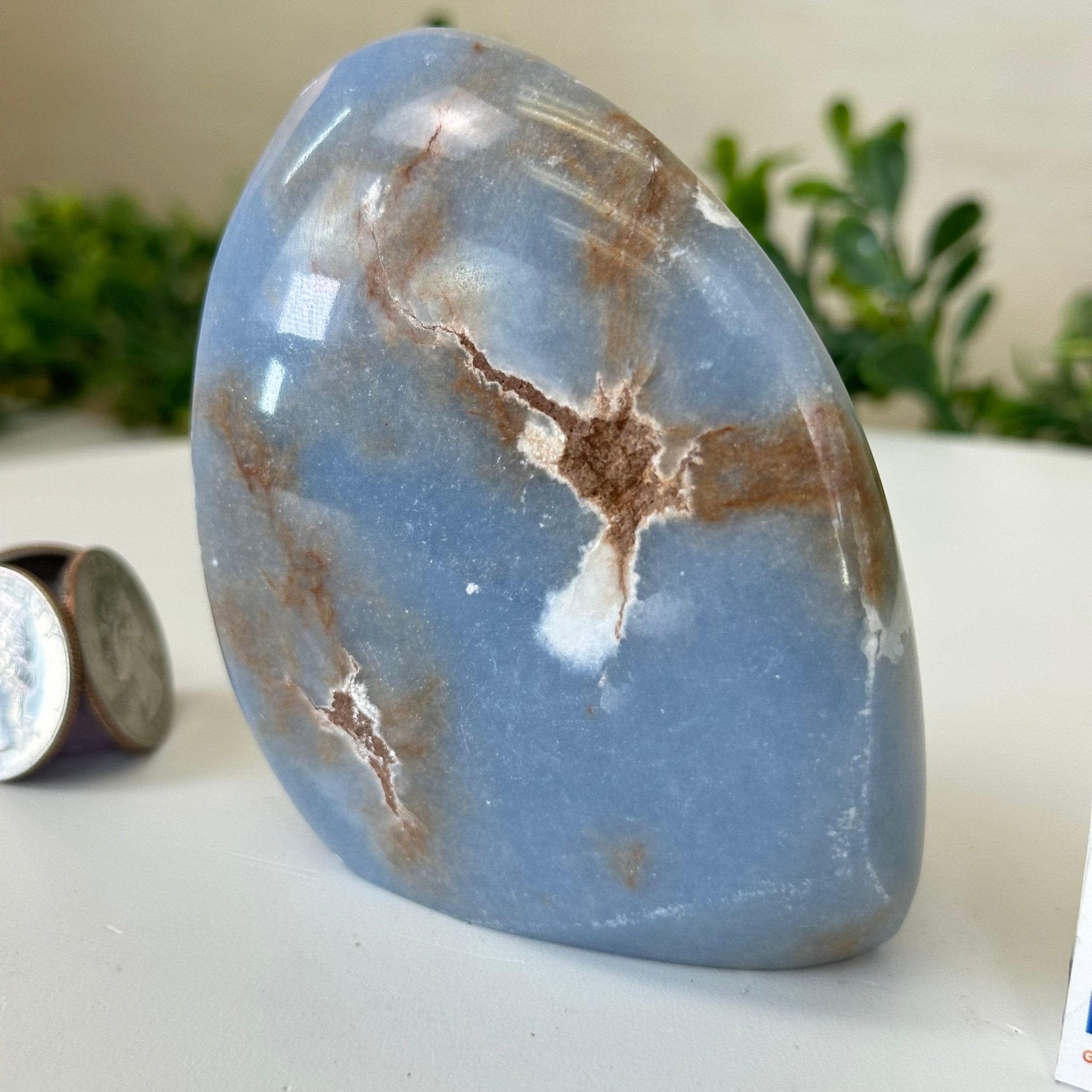 Polished Freeform Angelite Gemstone, 1 lb & 3.2” Tall #3301AL - 003 - Brazil GemsBrazil GemsPolished Freeform Angelite Gemstone, 1 lb & 3.2” Tall #3301AL - 003Freeform & Unique Shapes3301AL - 003