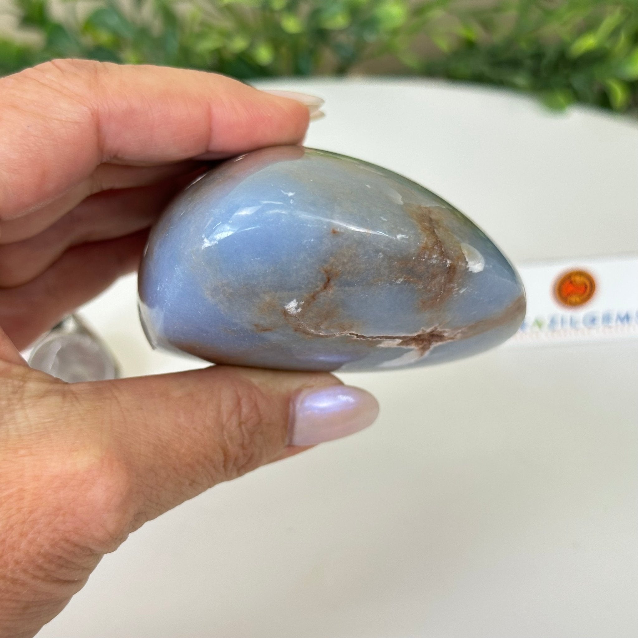 Polished Freeform Angelite Gemstone, 1 lb & 3.2” Tall #3301AL - 003 - Brazil GemsBrazil GemsPolished Freeform Angelite Gemstone, 1 lb & 3.2” Tall #3301AL - 003Freeform & Unique Shapes3301AL - 003