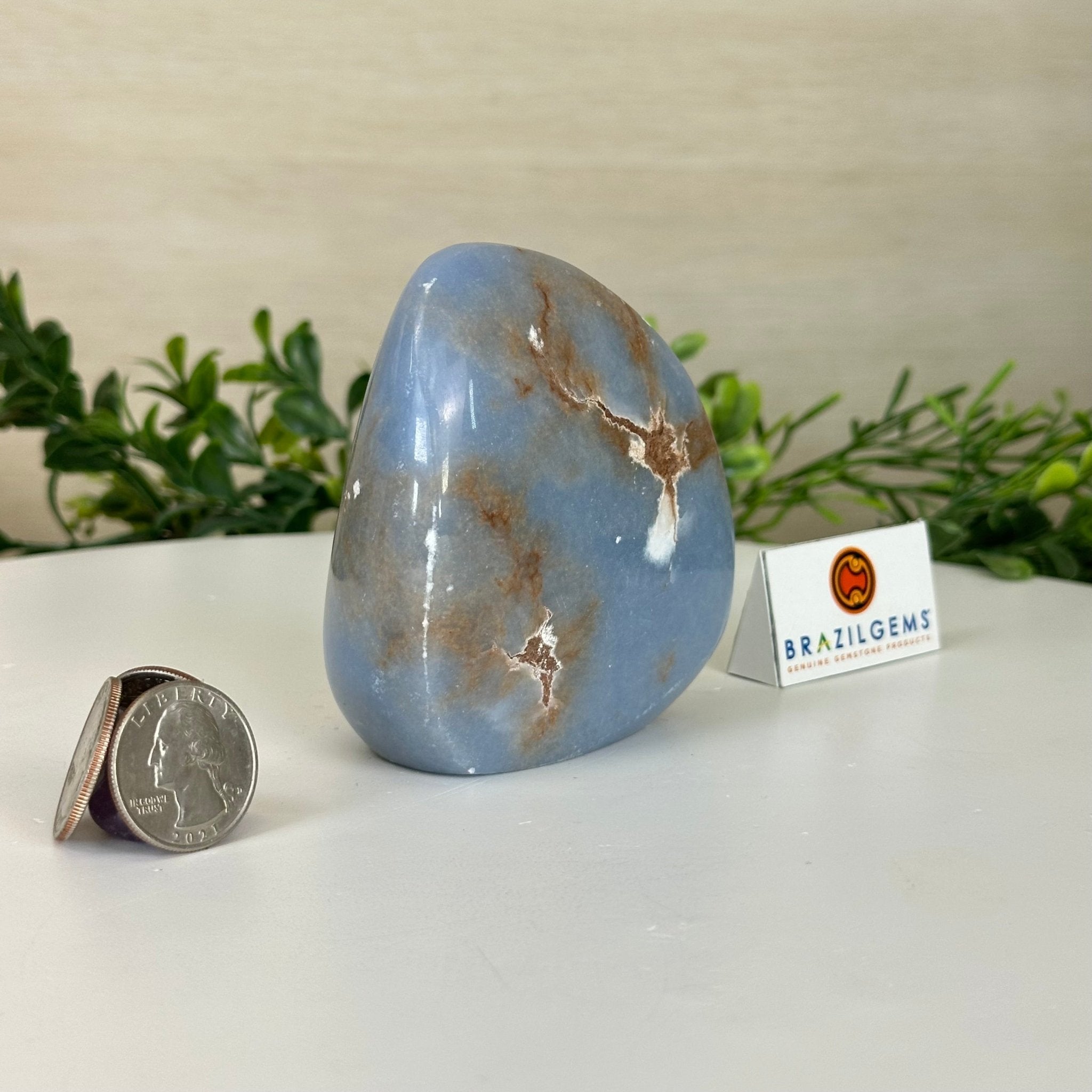 Polished Freeform Angelite Gemstone, 1 lb & 3.2” Tall #3301AL - 003 - Brazil GemsBrazil GemsPolished Freeform Angelite Gemstone, 1 lb & 3.2” Tall #3301AL - 003Freeform & Unique Shapes3301AL - 003