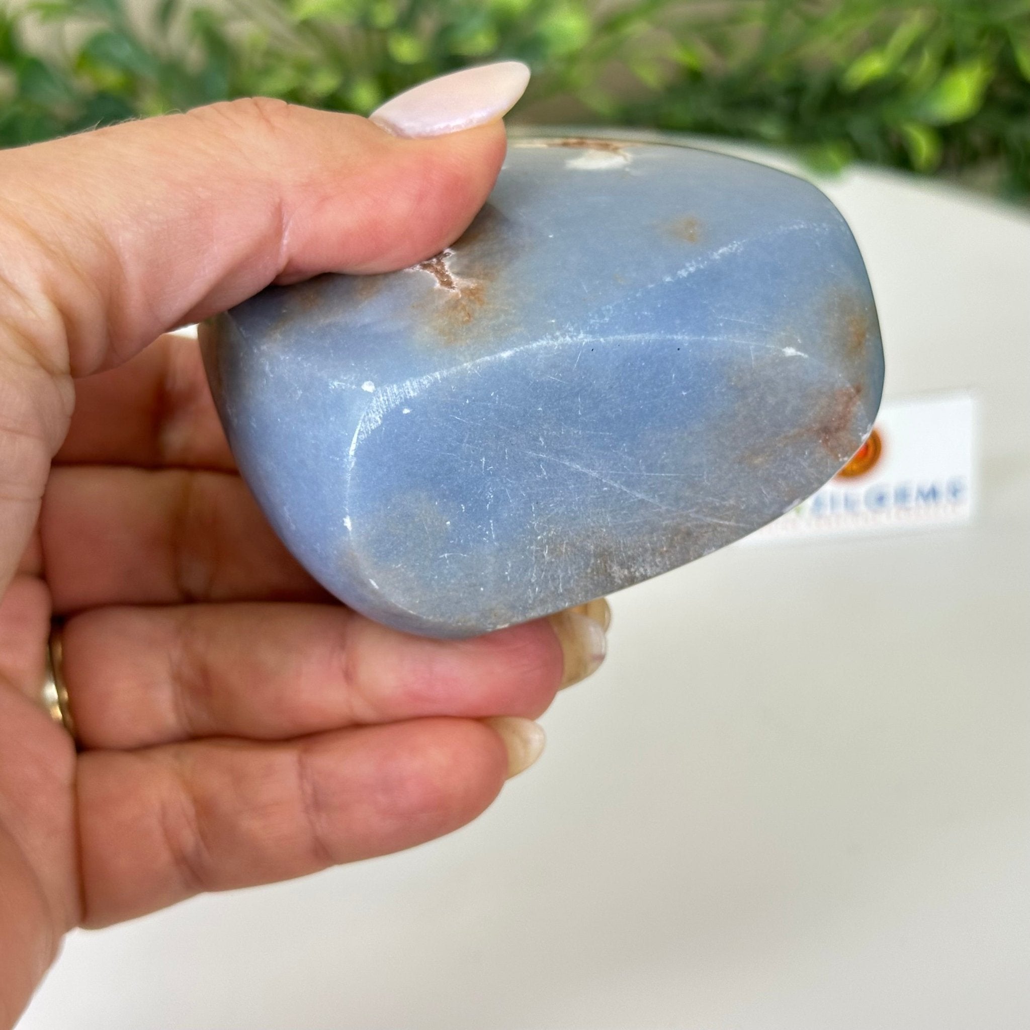 Polished Freeform Angelite Gemstone, 1 lb & 3.2” Tall #3301AL - 003 - Brazil GemsBrazil GemsPolished Freeform Angelite Gemstone, 1 lb & 3.2” Tall #3301AL - 003Freeform & Unique Shapes3301AL - 003