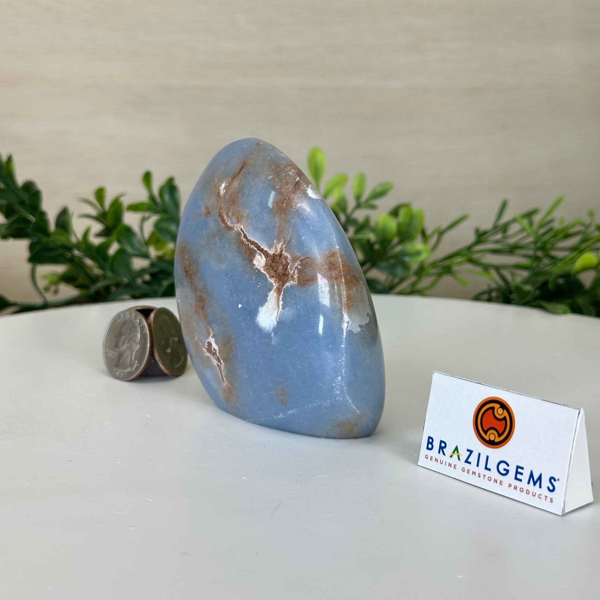 Polished Freeform Angelite Gemstone, 1 lb & 3.2” Tall #3301AL - 003 - Brazil GemsBrazil GemsPolished Freeform Angelite Gemstone, 1 lb & 3.2” Tall #3301AL - 003Freeform & Unique Shapes3301AL - 003