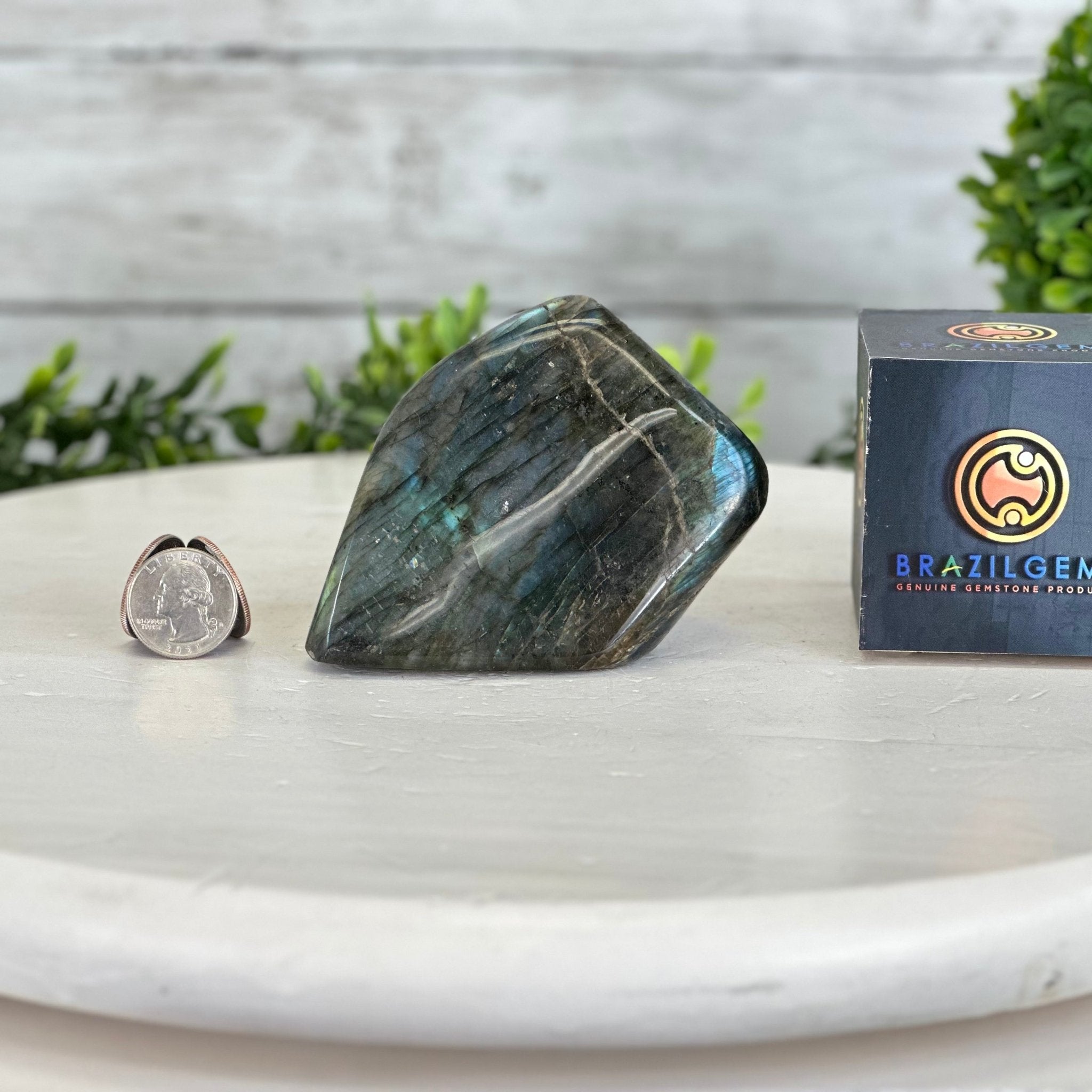 Polished Freeform Labradorite Gemstone, 1 lbs & 3” Tall #3301LB - 003 - Brazil GemsBrazil GemsPolished Freeform Labradorite Gemstone, 1 lbs & 3” Tall #3301LB - 003Freeform & Unique Shapes3301LB - 003