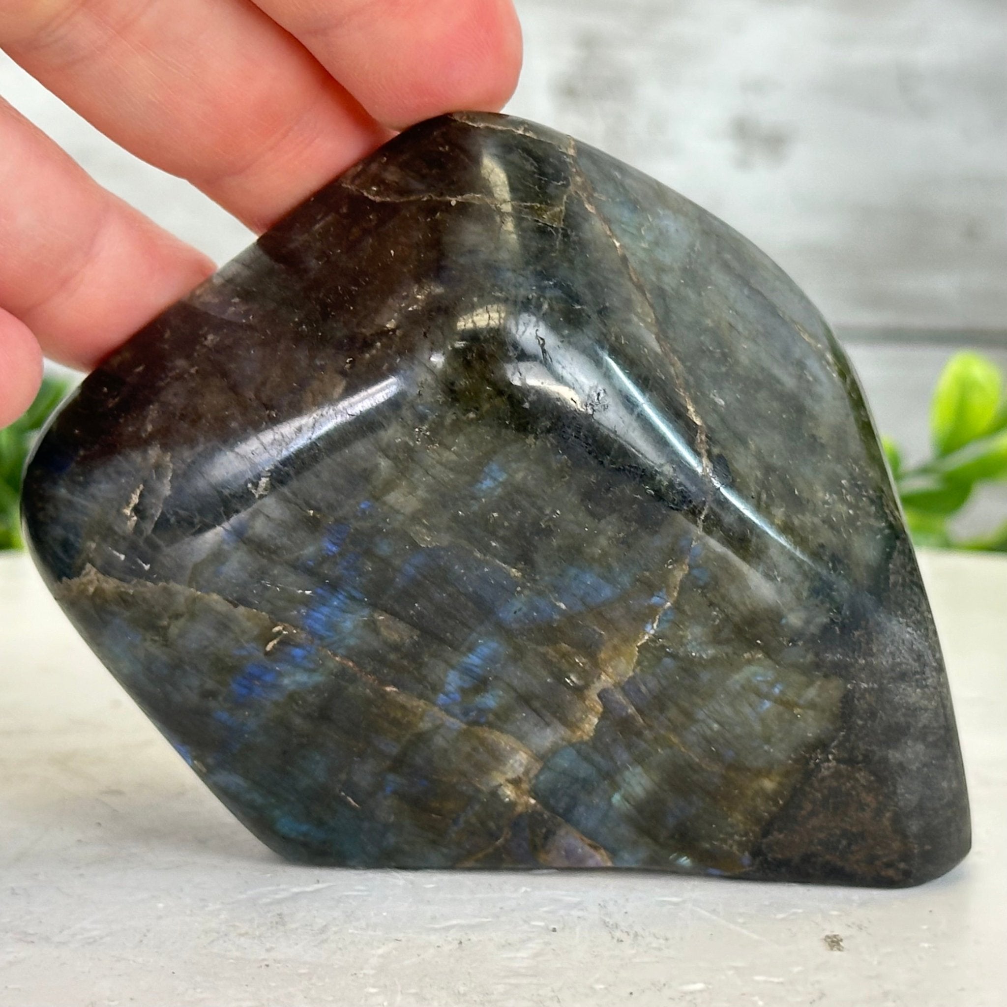 Polished Freeform Labradorite Gemstone, 1 lbs & 3” Tall #3301LB - 003 - Brazil GemsBrazil GemsPolished Freeform Labradorite Gemstone, 1 lbs & 3” Tall #3301LB - 003Freeform & Unique Shapes3301LB - 003