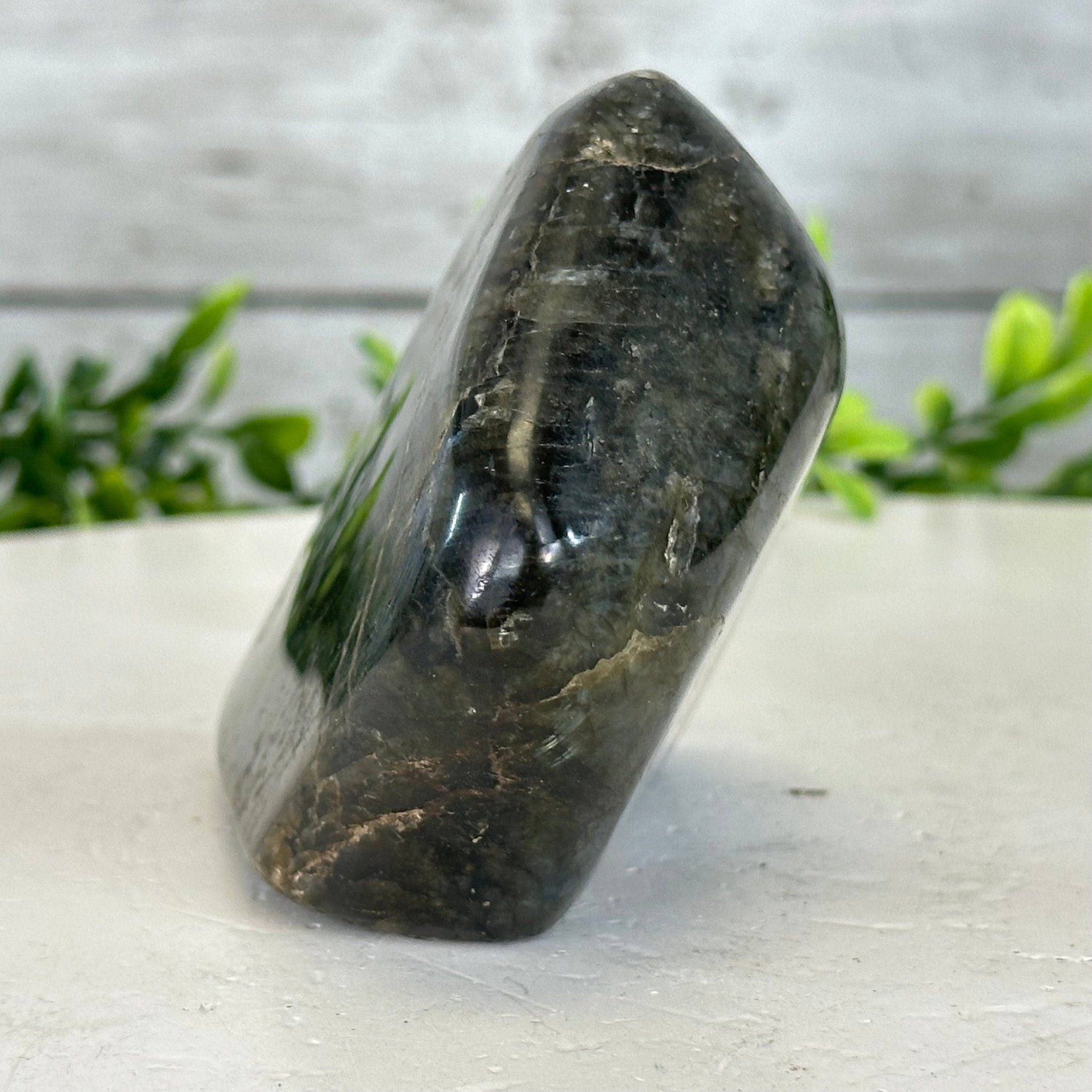 Polished Freeform Labradorite Gemstone, 1 lbs & 3” Tall #3301LB - 003 - Brazil GemsBrazil GemsPolished Freeform Labradorite Gemstone, 1 lbs & 3” Tall #3301LB - 003Freeform & Unique Shapes3301LB - 003