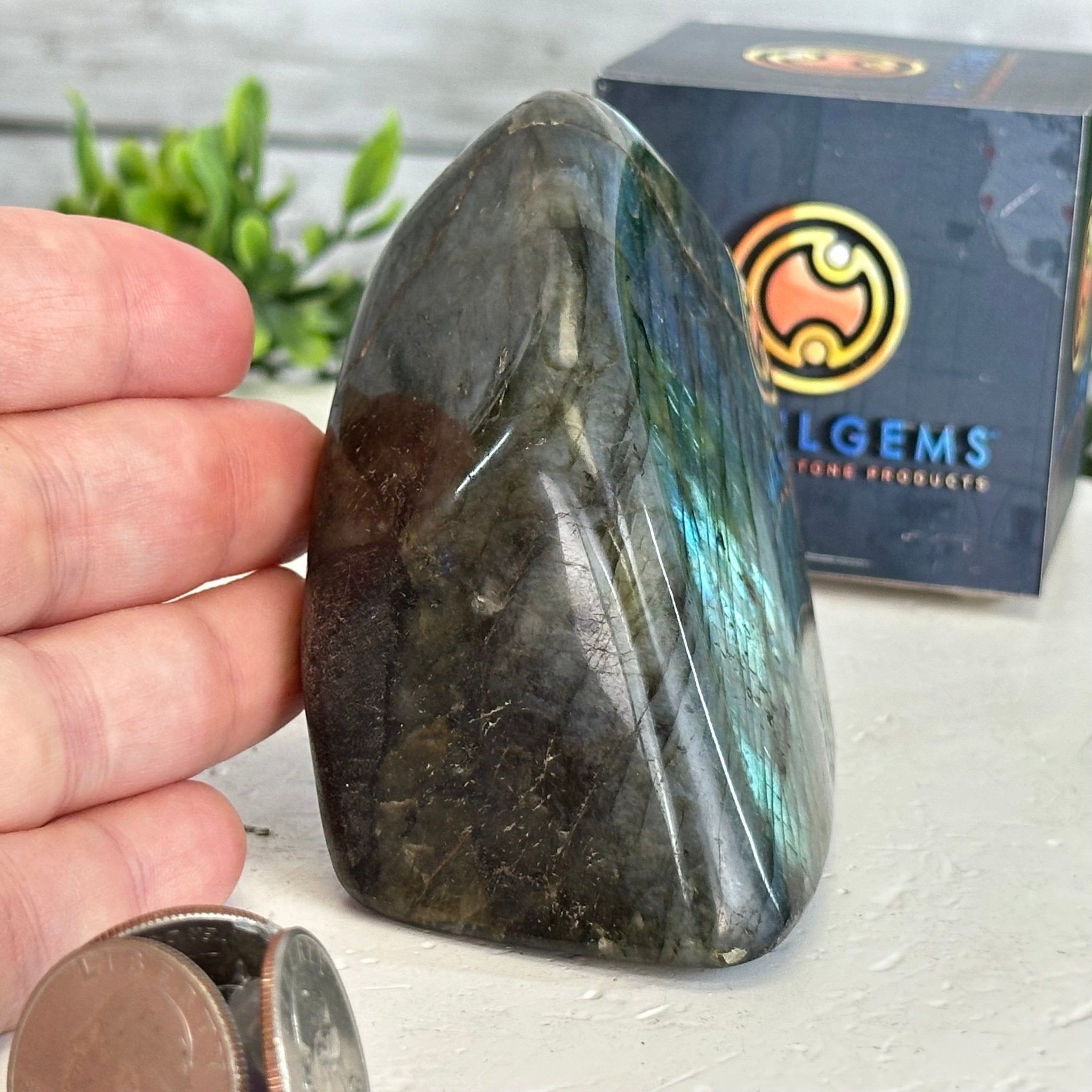 Polished Freeform Labradorite Gemstone, 1 lbs & 3” Tall #3301LB - 003 - Brazil GemsBrazil GemsPolished Freeform Labradorite Gemstone, 1 lbs & 3” Tall #3301LB - 003Freeform & Unique Shapes3301LB - 003