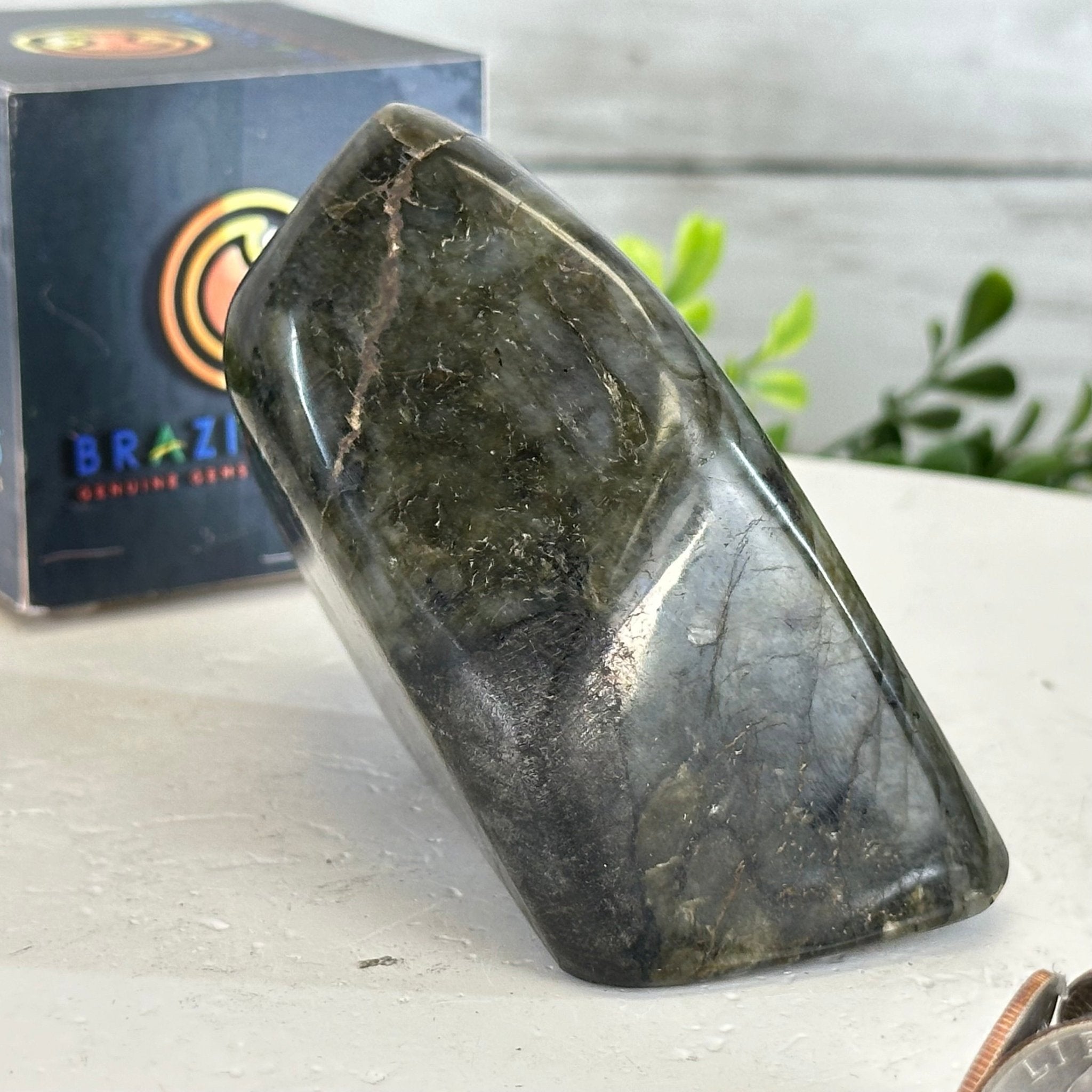 Polished Freeform Labradorite Gemstone, 1 lbs & 3” Tall #3301LB - 003 - Brazil GemsBrazil GemsPolished Freeform Labradorite Gemstone, 1 lbs & 3” Tall #3301LB - 003Freeform & Unique Shapes3301LB - 003
