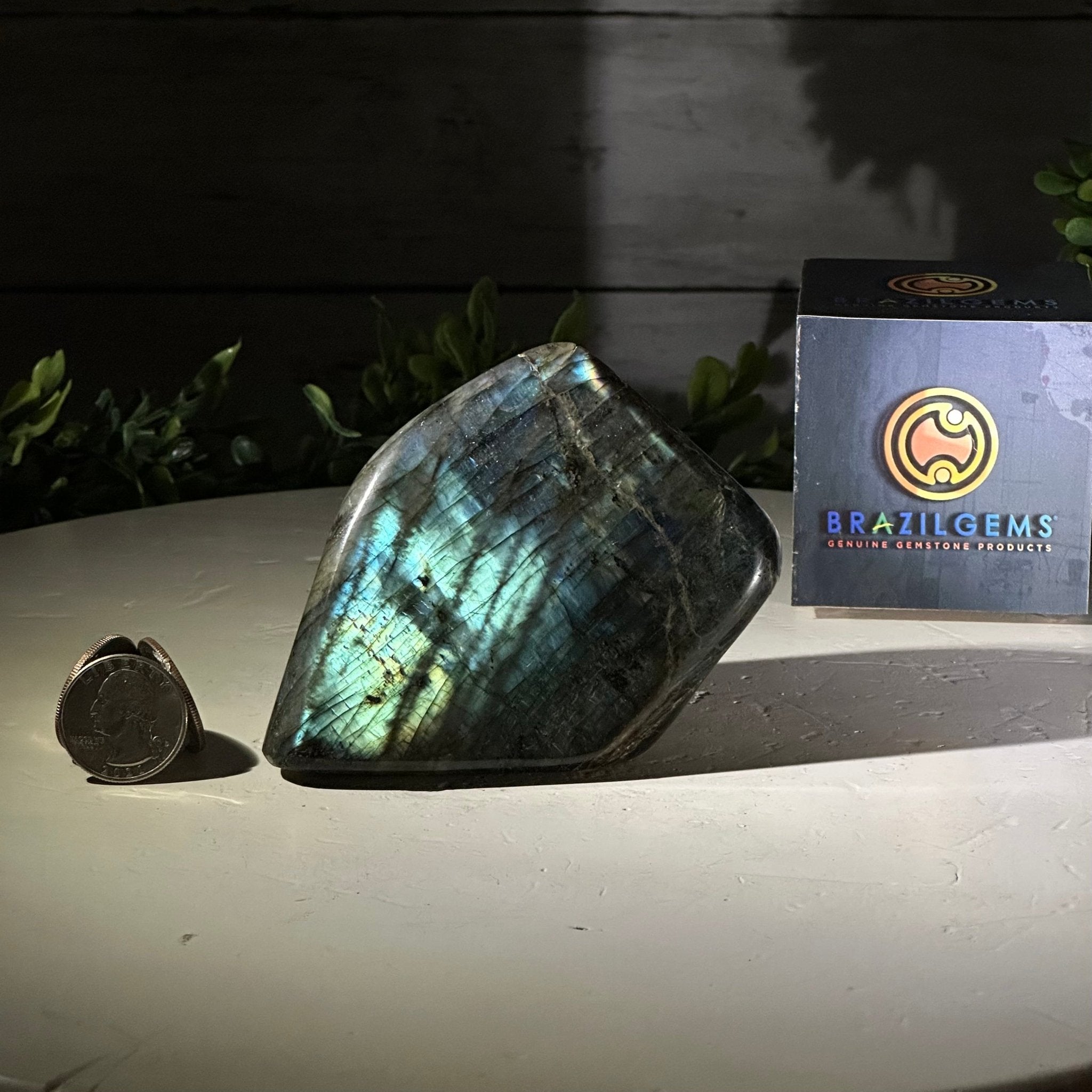 Polished Freeform Labradorite Gemstone, 1 lbs & 3” Tall #3301LB - 003 - Brazil GemsBrazil GemsPolished Freeform Labradorite Gemstone, 1 lbs & 3” Tall #3301LB - 003Freeform & Unique Shapes3301LB - 003
